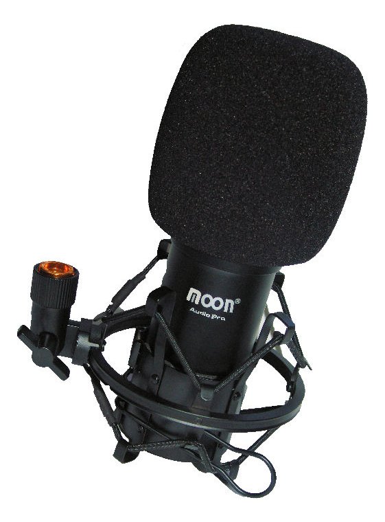Micrófono Condenser Moon Ms01 Grabación Profesional C/ Araña Ms01