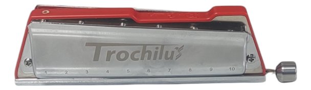 Armonica Profesional Cromatica Parquer 10 Agujeros C Colores Trochilusred