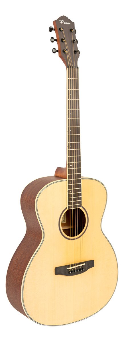 Guitarra Acústica Parquer Taylor Jumbo Mate Marrón Ga500Lb