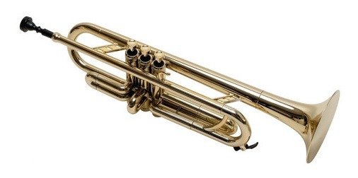 D_890743-MLA49106160455_022022-F.jpg Trompeta Plastico Bb Parquer Dorado Metalizado Liviana Funda Ptr-200G - Imagen 1