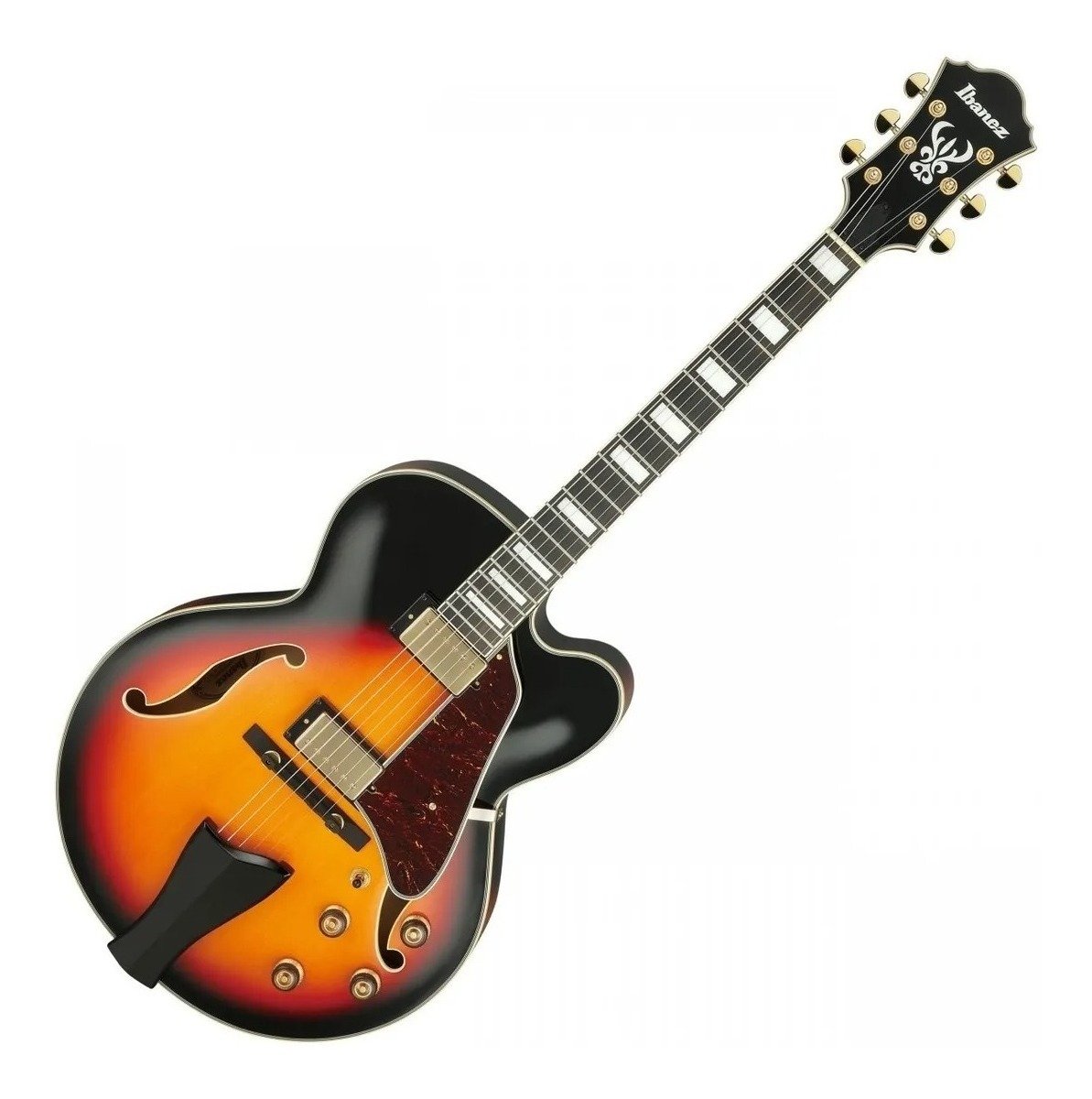 D_899239-MLA53124138460_012023-F.jpg Guitarra Ibanez Af-95 Bs Hollowbody Ic-Ib-Af95Bs - Imagen 1