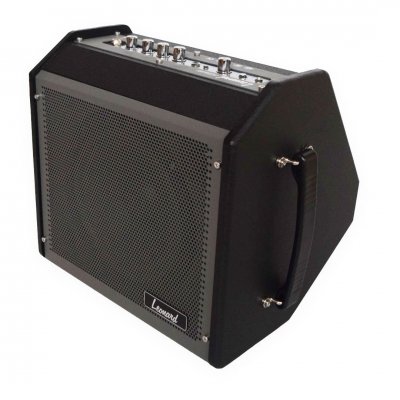 Amplificador Leonard Para Bateria-Teclado-Voz-30W-Modo Grabacion-Bluetooth 35Lndmp