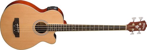 Washburn Ab5K  -  Bajo Acústico